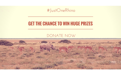 Save Just One Rhino
