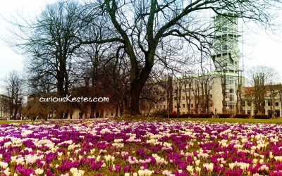 A look at Aarhus
